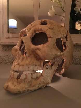 Large Anatomical Skull - Cast Iron - White-Rust